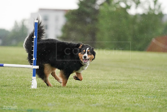RielVisuals_20240526_094629_SJR01012