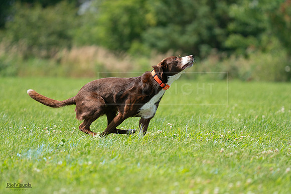 RielVisuals_20240727_125133_SJR06249