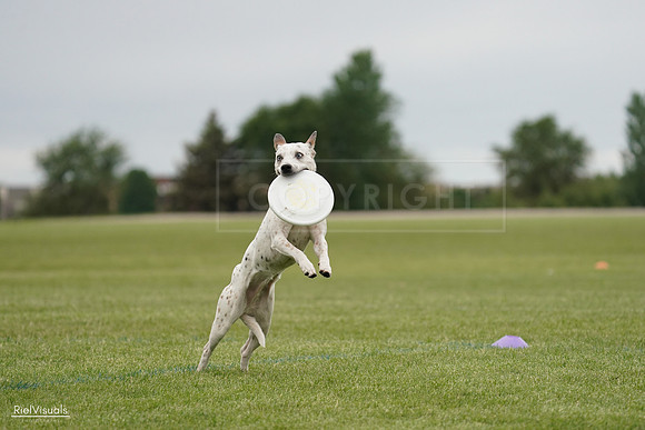 RielVisuals_20240526_134252_SJR08830