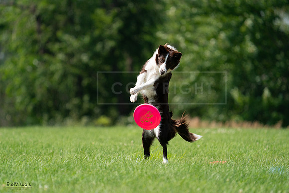 RielVisuals_20240727_140349_SJR09455