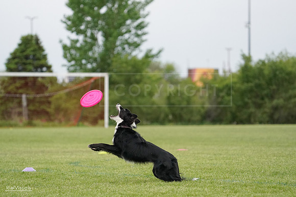 RielVisuals_20240526_132515_SJR07733