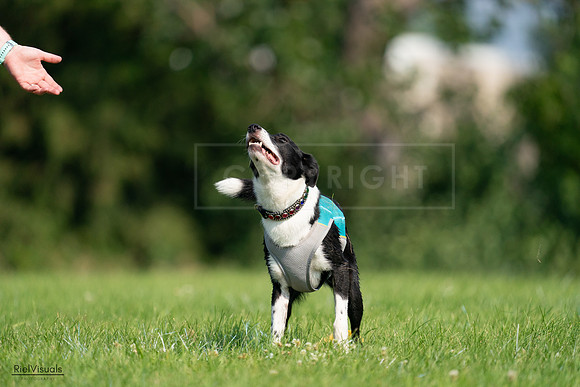 RielVisuals_20240727_094056_SJR07172