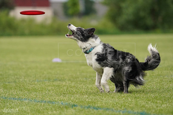RielVisuals_20240526_133145_SJR08081