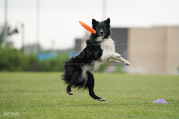 RielVisuals_20240526_095518_SJR01387
