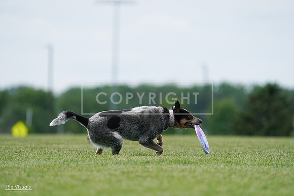 RielVisuals_20240525_125127_SJR01353