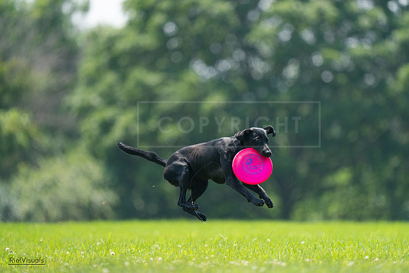 RielVisuals_20240727_131042_SJR07108