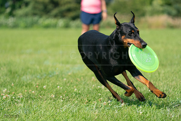 RielVisuals_20240728_103458_SJR08552
