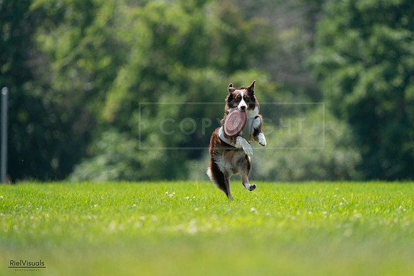 RielVisuals_20240727_130330_SJR06673