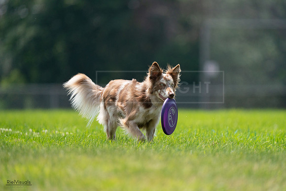 RielVisuals_20240727_131223_SJR07166