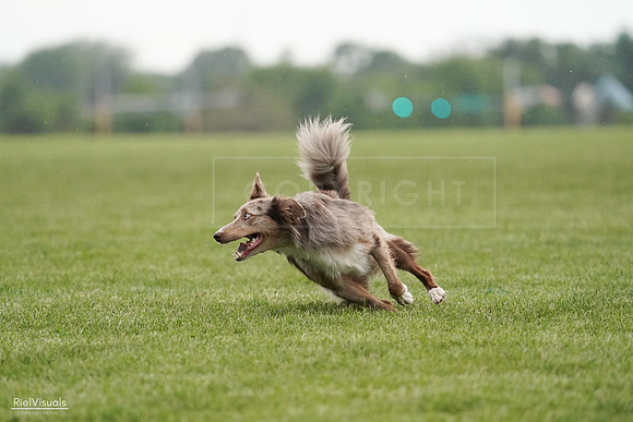 RielVisuals_20240526_092636_SJR00060