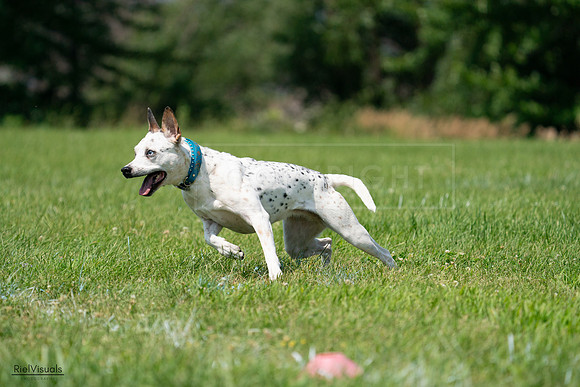 RielVisuals_20240728_120554_SJR02892