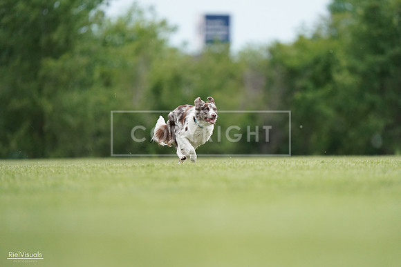 RielVisuals_20240525_161037_SJR03612