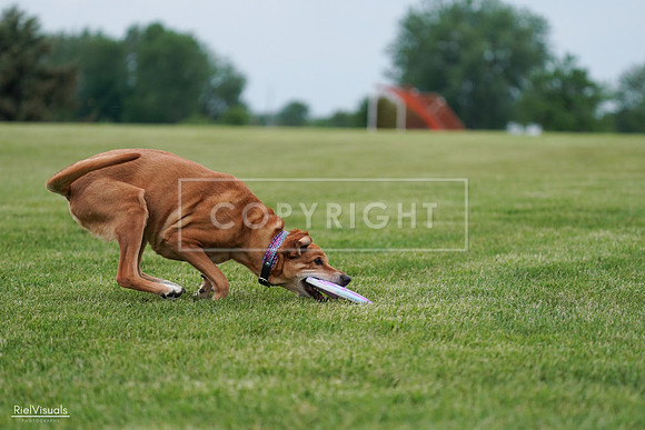 RielVisuals_20240525_161934_SJR04155