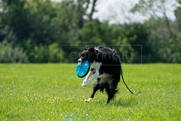 RielVisuals_20240728_124645_SJR04669