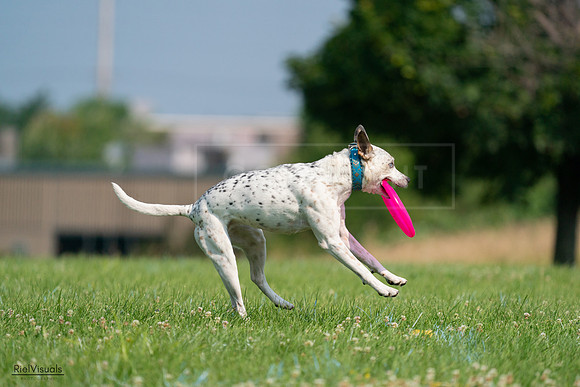 RielVisuals_20240727_095442_SJR08025