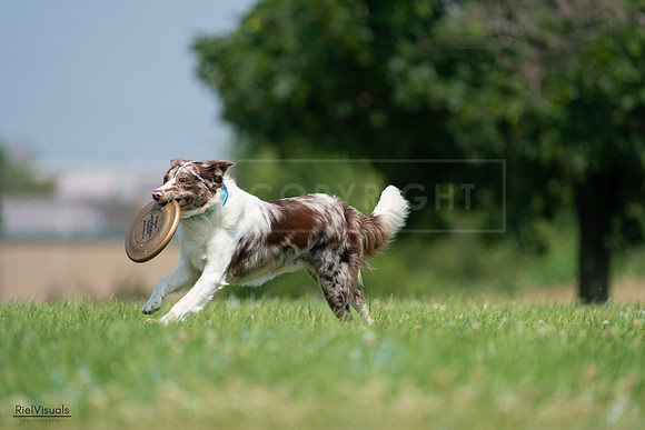RielVisuals_20240727_115058_SJR04114
