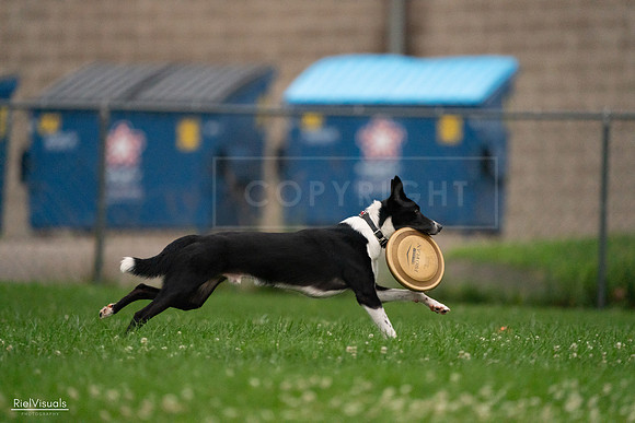 RielVisuals_20240722_193518_SJR01522