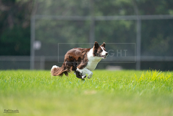 RielVisuals_20240727_115631_SJR04360