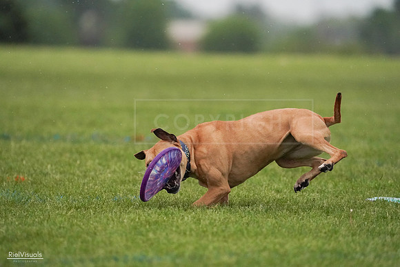 RielVisuals_20240527_094218_SJR08501
