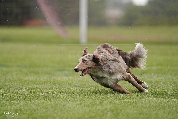 RielVisuals_20240526_092640_SJR00077