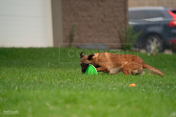 RielVisuals_20240722_192425_SJR00771