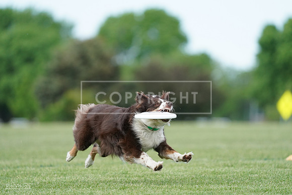 RielVisuals_20240525_090327_SJR09471