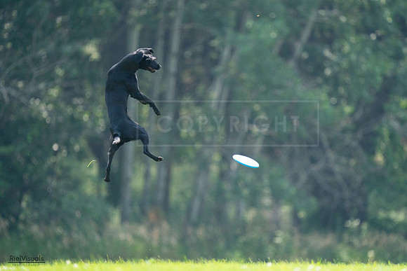 RielVisuals_20240727_122731_SJR05601