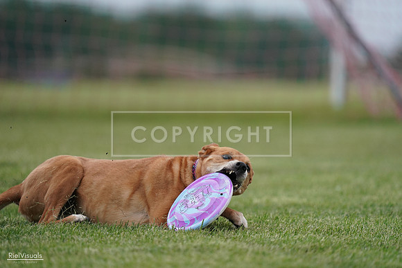 RielVisuals_20240525_161833_SJR04055