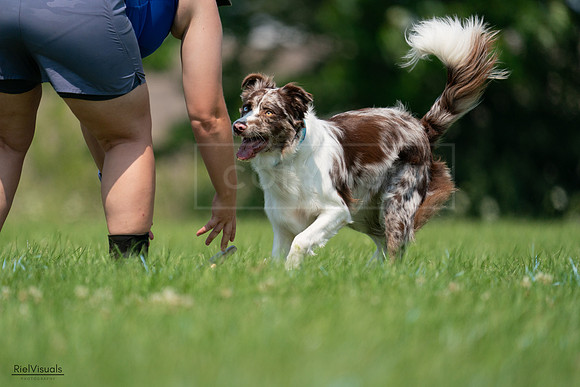 RielVisuals_20240727_115010_SJR04054
