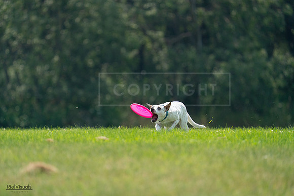 RielVisuals_20240727_120930_SJR04836