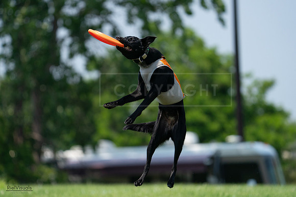 RielVisuals_20240727_134423_SJR08175