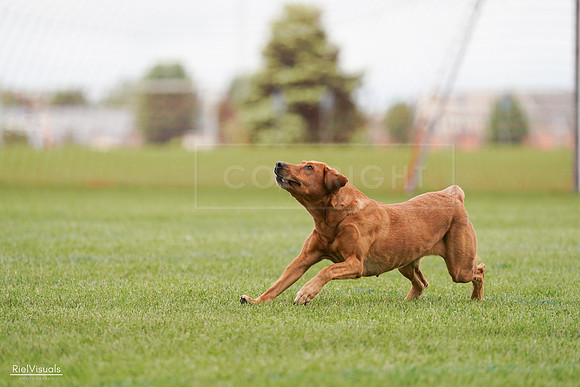 RielVisuals_20240527_141128_SJR01851