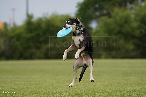 RielVisuals_20240526_134431_SJR08903