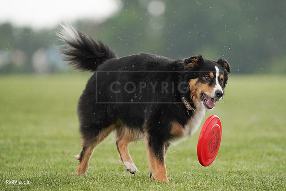 RielVisuals_20240526_094616_SJR00990