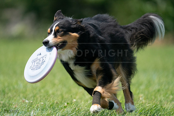 RielVisuals_20240728_131708_SJR05666