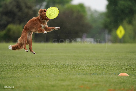 RielVisuals_20240526_093131_SJR00281