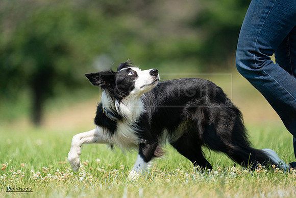 RielVisuals_20240727_114753_SJR03956
