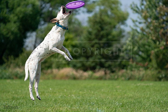 RielVisuals_20240728_120548_SJR02846