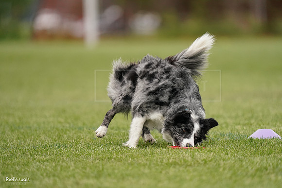 RielVisuals_20240526_133316_SJR08204