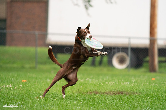 RielVisuals_20240722_191819_SJR00480