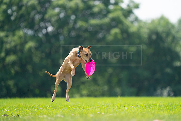 RielVisuals_20240727_131636_SJR07420