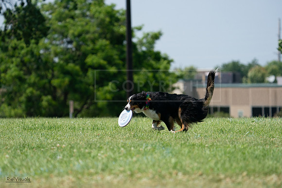 RielVisuals_20240728_144524_SJR09061