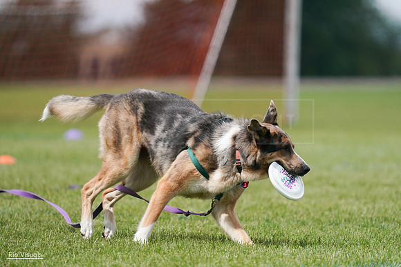 RielVisuals_20240527_141650_SJR02199