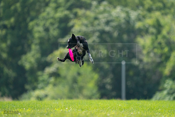 RielVisuals_20240727_125932_SJR06485