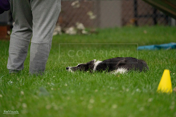 RielVisuals_20240722_192629_SJR00898