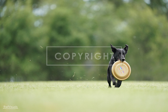 RielVisuals_20240525_160720_SJR03506