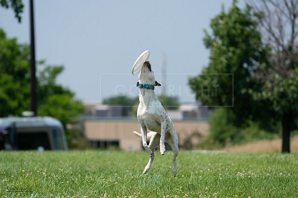 RielVisuals_20240727_134635_SJR08396