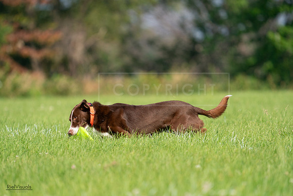 RielVisuals_20240727_093628_SJR06911