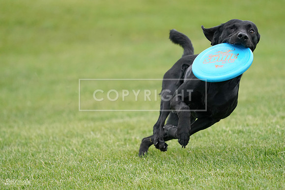 RielVisuals_20240525_163946_SJR05129