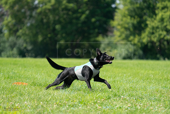 RielVisuals_20240728_114857_SJR02028